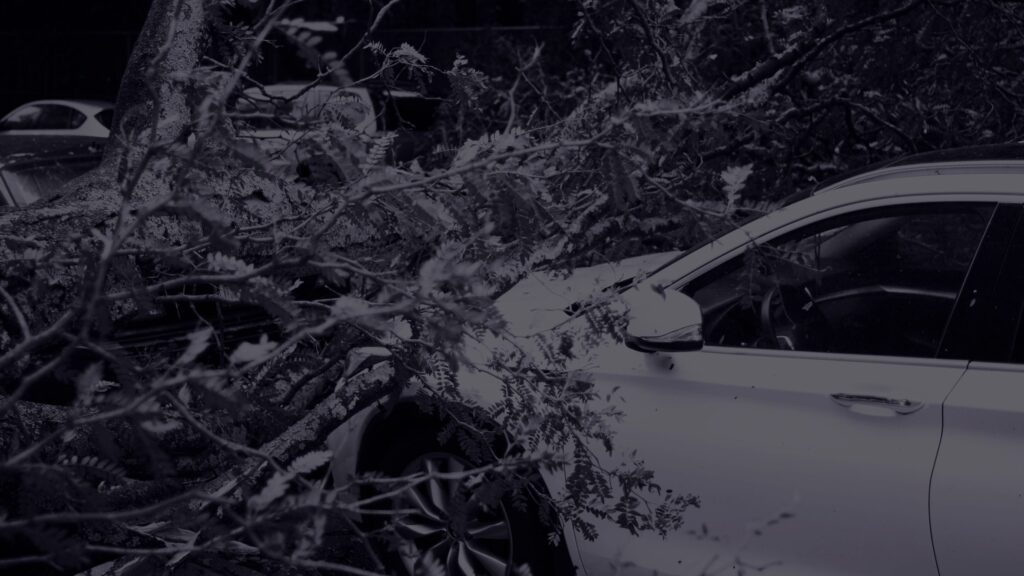 Streamlining the Insurance Claims Process