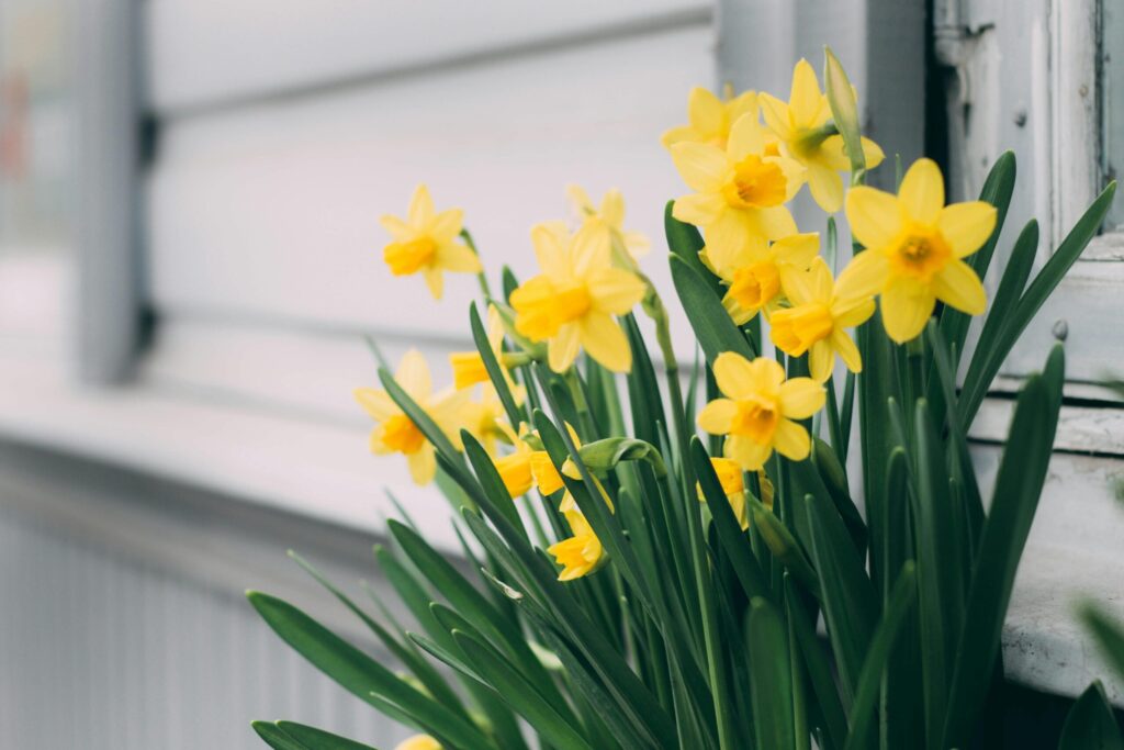 Spring is Here – and so are Four New Joiners!