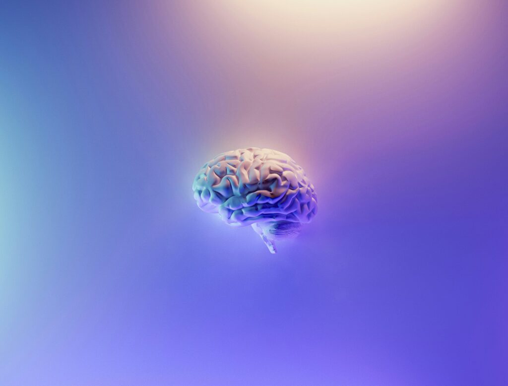 Cognitive Load Is the Real Cost of Digital Inefficiency